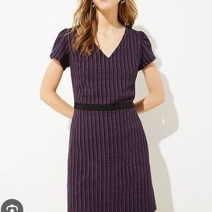 LOFT Plus Black and Purple‎ Mini Dress Sz 14